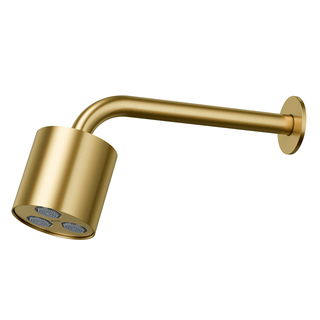 Chuveiro de Parede Mix&Match Ouro Escovado