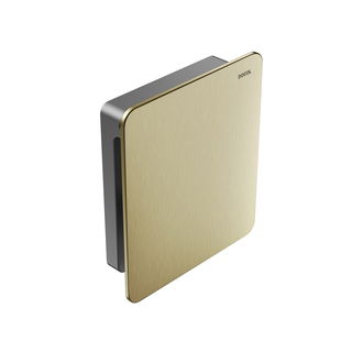 Acabamento para válvula de descarga de parede DocolFlat ouro escovado