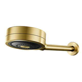 Chuveiro Novo Technoshower ouro escovado