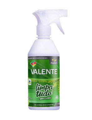 LP VALENTE LIMPA TUDO 500ML 
